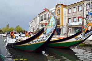 1359 - Aveiro
